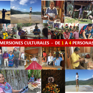 Traslado Terrestre Privado. Tour Privado, Experiencias privadas en Oaxaca, Traslado al aeropuerto